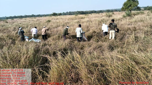 Grassland Management